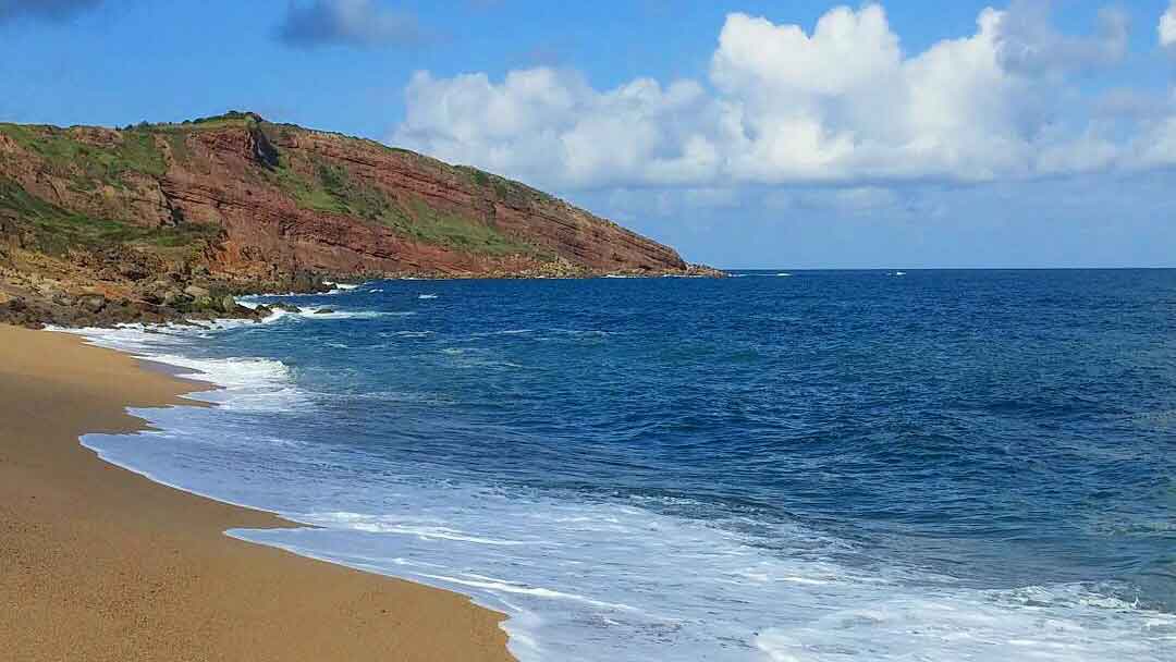 How Spending Time in Nature Supports Mental and Emotional Wellbeing