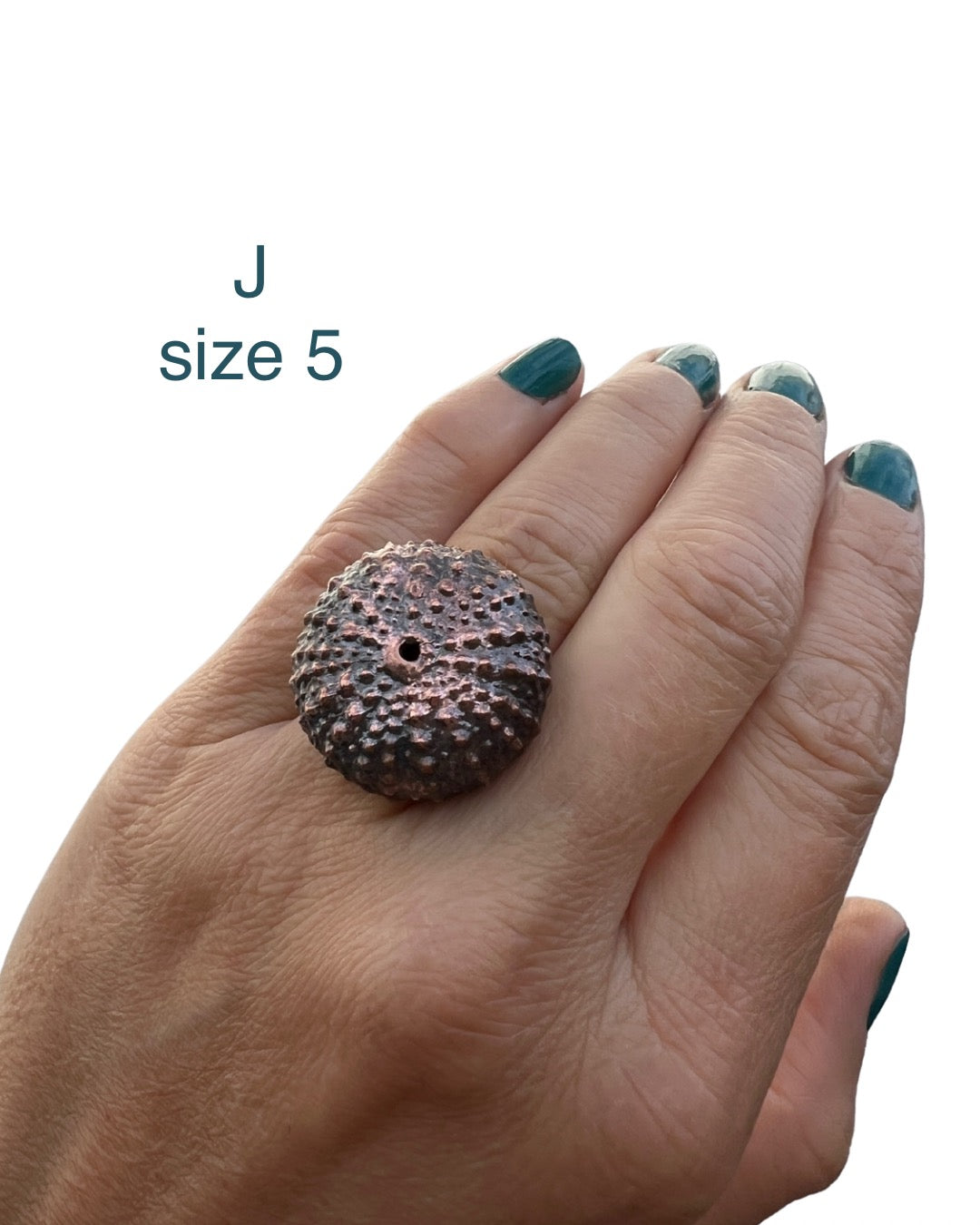 Sea Urchin Rings - Silver and Copper