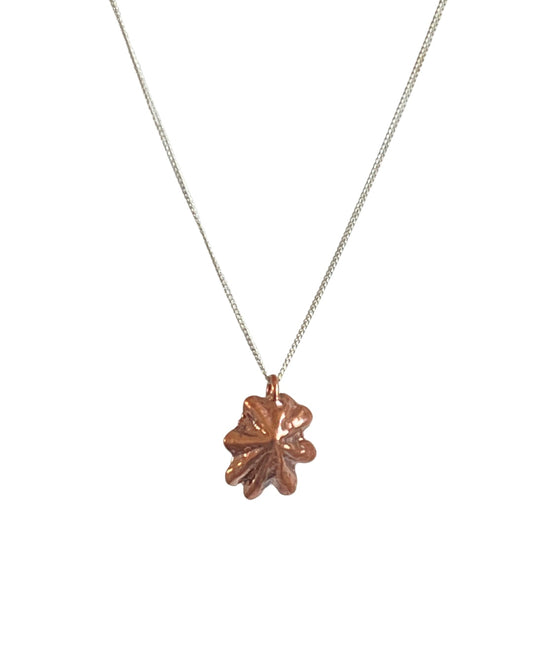 Star Limpet Shell Necklace