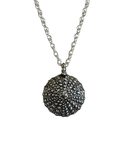 Silver Urchin Shell Necklace