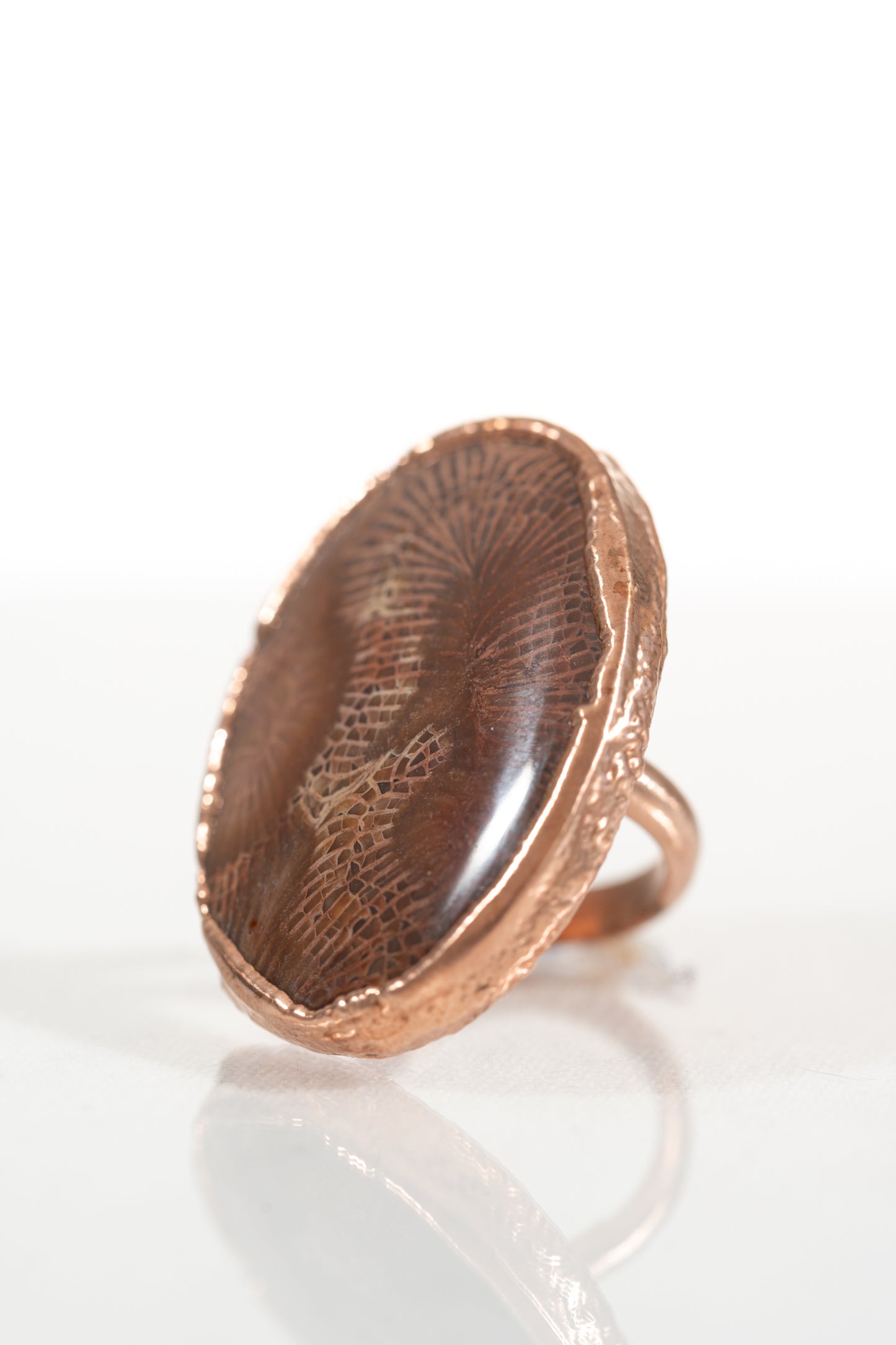 Fossilized Coral Ring sz 7