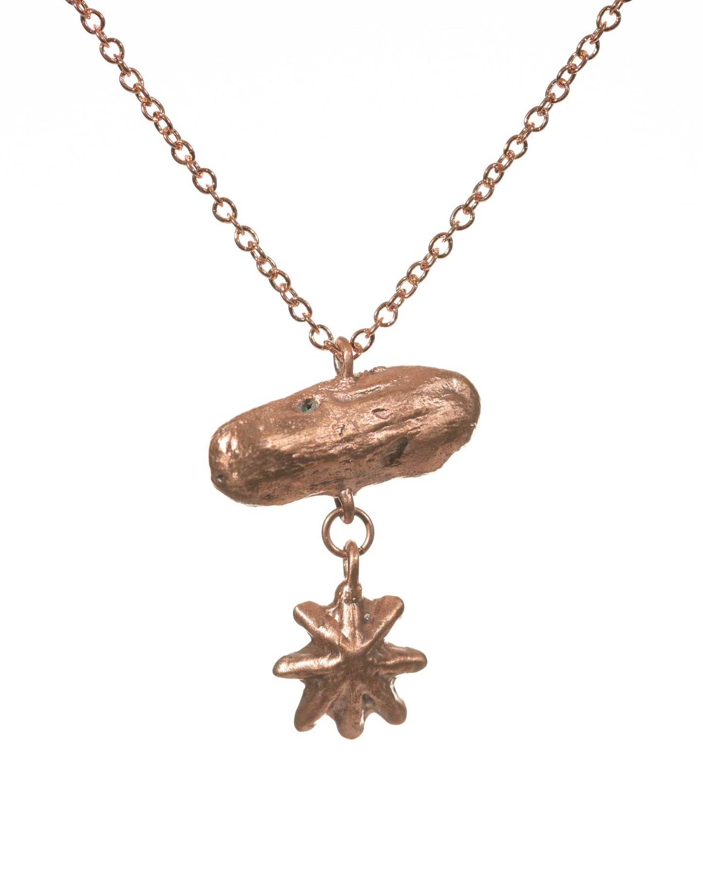 beachcomber driftwood shell necklace