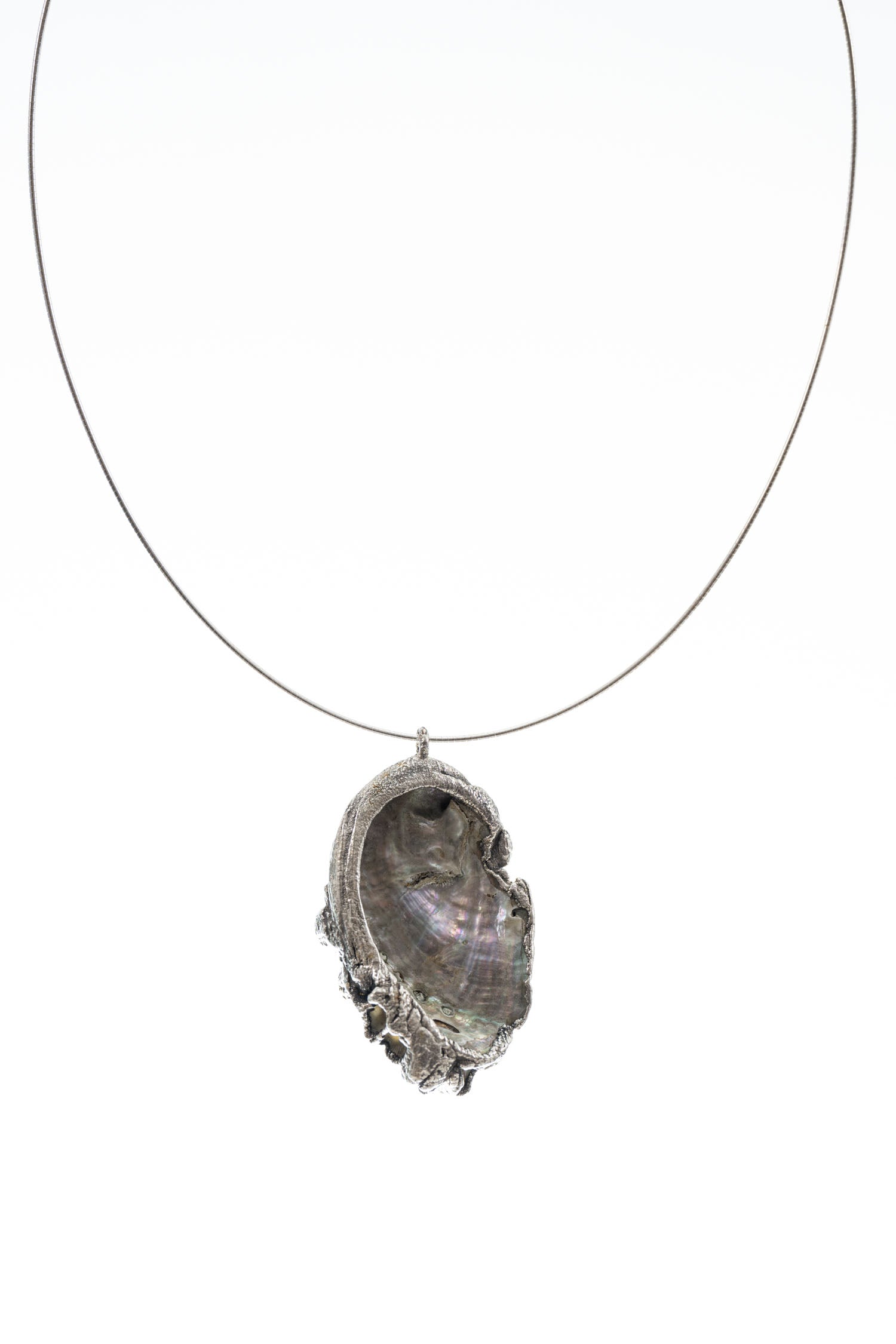 silver abalone and barnacle shell pendant necklace