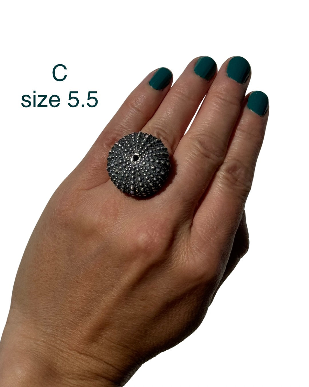 Large Sea Urchin Rings - REAL SHELLS - Silver and Copper