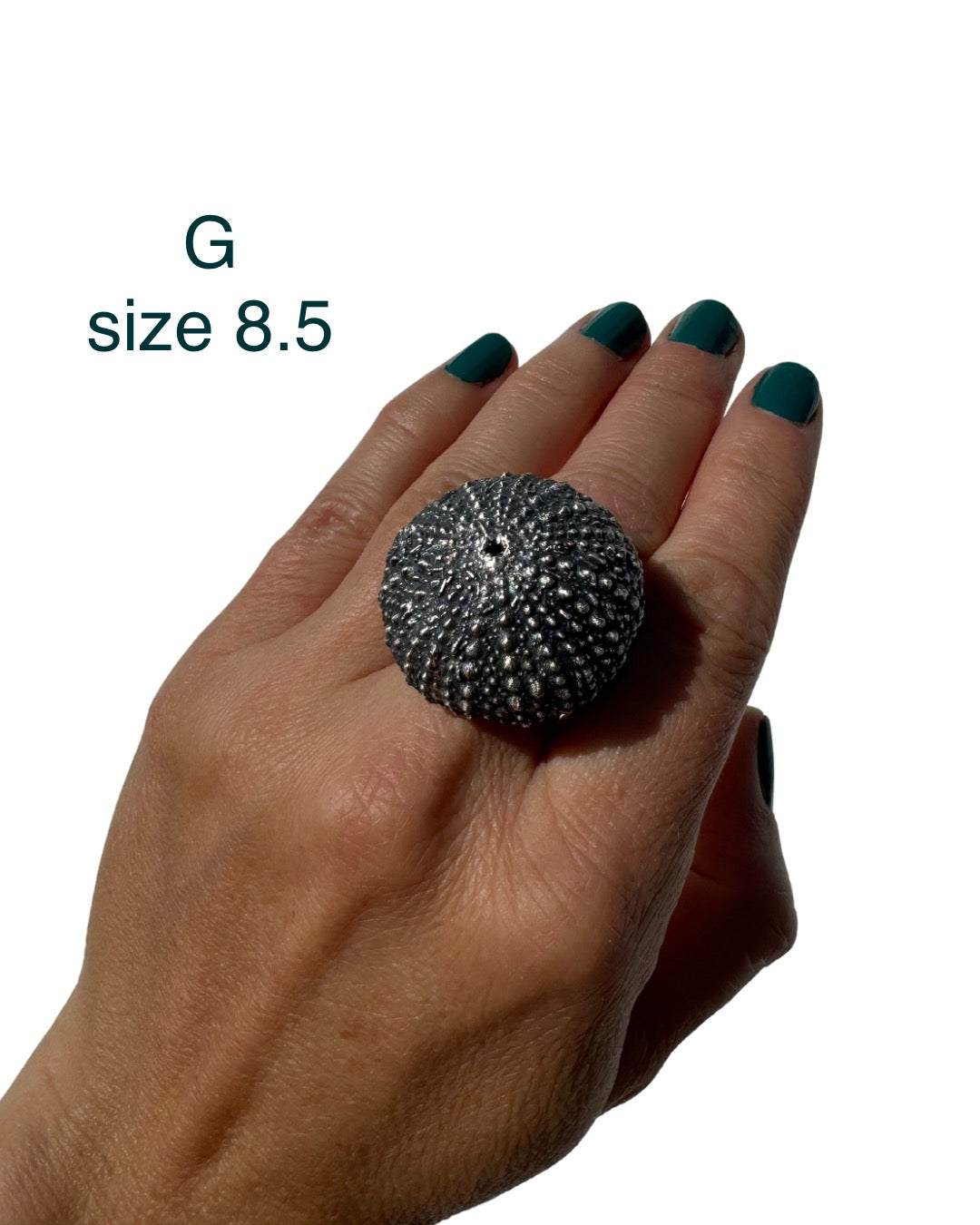 Large Sea Urchin Rings - REAL SHELLS - Silver and Copper